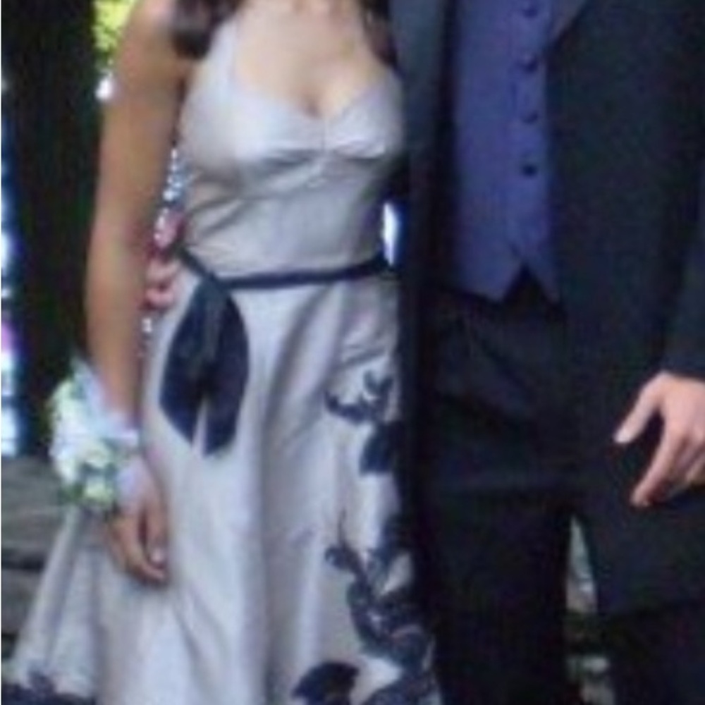 Elegant Silver prom Dress with black Accents